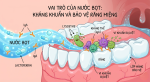 Saliva – A Tiny Fluid That Controls Nearly the Entire Oral Health System