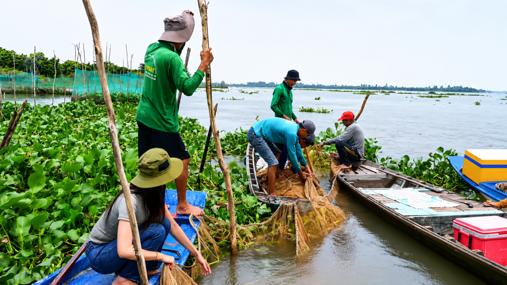 Dỡ Chà Bắt Cá Ở Đồng Tháp – Trải Nghiệm Du Lịch Miền Tây Đậm Chất Sông Nước