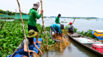 Dỡ Chà Bắt Cá Ở Đồng Tháp – Trải Nghiệm Du Lịch Miền Tây Đậm Chất Sông Nước