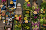 Common Mistakes Travelers Make When Visiting the Mekong Delta