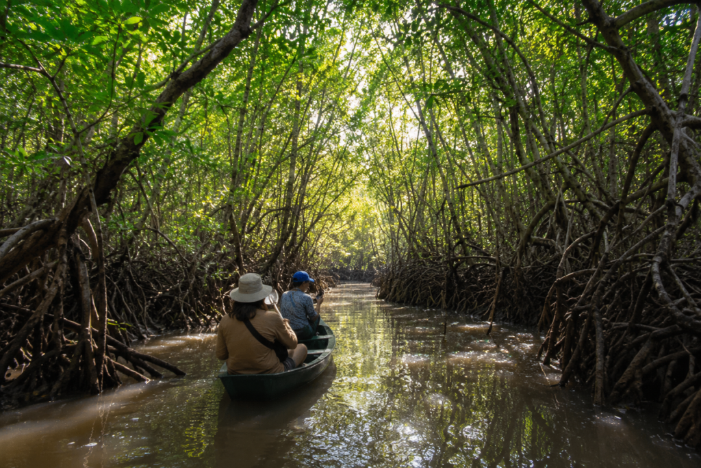 Rainy Season Travel – What Makes It So Special?