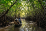 Rainy Season Travel – What Makes It So Special?