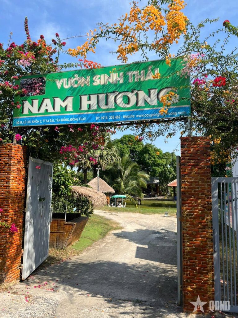 Khám phá Vườn sinh thái Nam Hương – Trải nghiệm miền Tây xanh mát giữa lòng Đồng Tháp