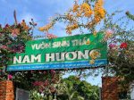 Khám phá Vườn sinh thái Nam Hương – Trải nghiệm miền Tây xanh mát giữa lòng Đồng Tháp